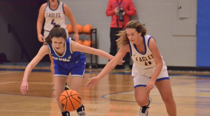 PREP BASKETBALL: Cold Springs edges Falkville 63-53 in OT to claim 2A, Area 13 crown