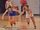 PREP BASKETBALL: Cold Springs edges Falkville 63-53 in OT to claim 2A, Area 13 crown