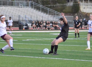 PREP SOCCER: Lady Bearcats down Gardendale 6-0