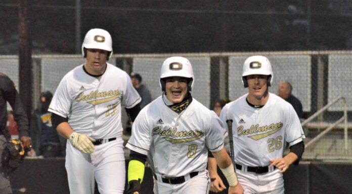 PREP BASEBALL: Bearcats handle Buckhorn at home 9-3