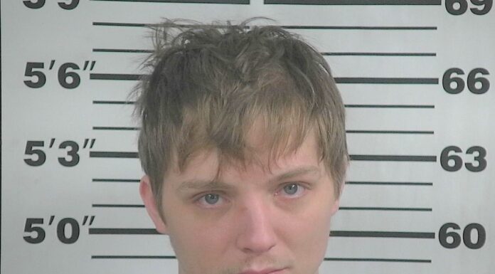 Cullman County man charged with trafficking meth