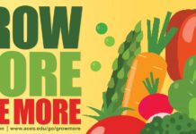 Grow more, give more