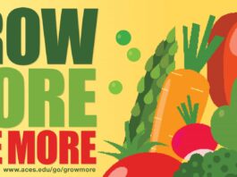 Grow more, give more