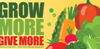 Grow more, give more