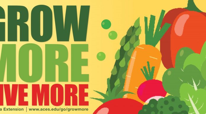 Grow more, give more