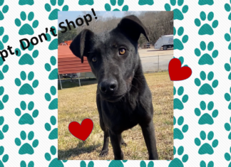 (Bonus) Pet of the Week: Relax with Ranger!