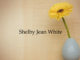 Obituary: Shelby Jean White