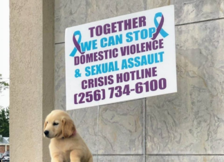 Ivey awards funds to 17 agencies that assist domestic violence victims