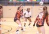 WSCC: No. 20 Volleyball remains perfect after sweep; No. 14 Softball notches wins over Pearl River, Chipola