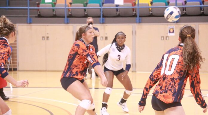 WSCC: No. 20 Volleyball remains perfect after sweep; No. 14 Softball notches wins over Pearl River, Chipola