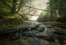 Winners of Outdoor Alabama Photo Contest announced