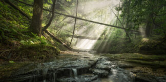 Winners of Outdoor Alabama Photo Contest announced