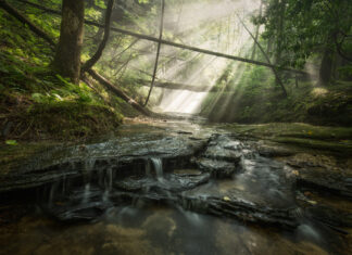 Winners of Outdoor Alabama Photo Contest announced