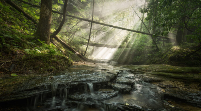 Winners of Outdoor Alabama Photo Contest announced