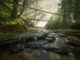 Winners of Outdoor Alabama Photo Contest announced
