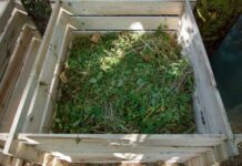 Backyard composting year-round