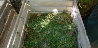 Backyard composting year-round
