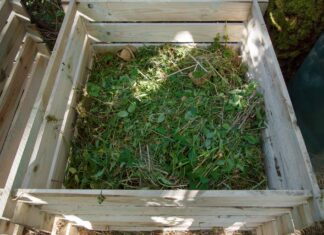 Backyard composting year-round