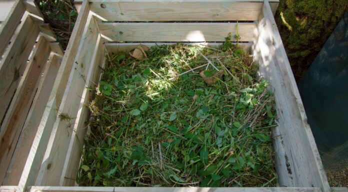 Backyard composting year-round