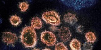 ADPH: B.1.1.7 (U.K.) COVID-19 variant identified in 8 Alabama residents