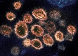 ADPH: B.1.1.7 (U.K.) COVID-19 variant identified in 8 Alabama residents