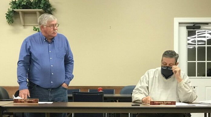 Baileyton names parks director, schedules ‘Day in the Park’