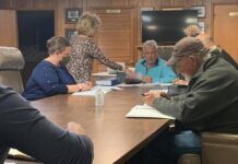 Fairview council votes to replace park lights, discusses community planning