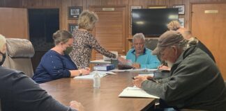 Fairview council votes to replace park lights, discusses community planning