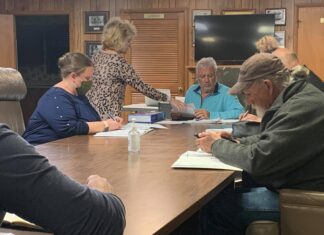 Fairview council votes to replace park lights, discusses community planning