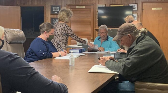 Fairview council votes to replace park lights, discusses community planning