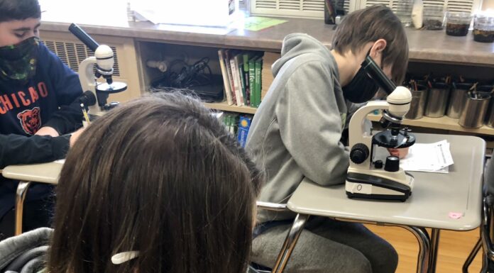 CMS students find the science in pond water