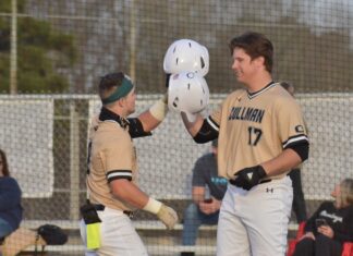 PREP BASEBALL: Cullman’s Heatherly, Norton drill walk-off HRs to lead ‘Cats past Madison Academy
