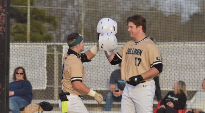 PREP BASEBALL: Cullman’s Heatherly, Norton drill walk-off HRs to lead ‘Cats past Madison Academy