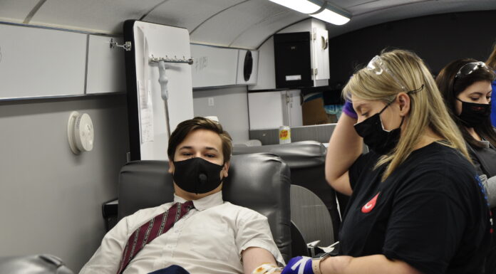 Saint Bernard Saints are heroes, too