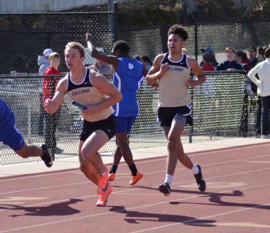 PREP TRACK & FIELD: Local standouts compete at Cullman Classic
