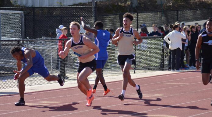 PREP TRACK & FIELD: Local standouts compete at Cullman Classic