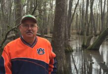 ‘Horticulture is my true love’