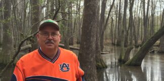 ‘Horticulture is my true love’