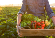 Wallace State’s Small Farmer Training spring/summer courses begin next week