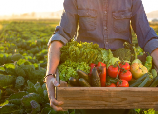 Wallace State’s Small Farmer Training spring/summer courses begin next week