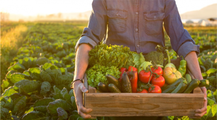Wallace State’s Small Farmer Training spring/summer courses begin next week
