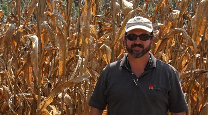 Cullman County’s Ben Haynes recognized for top state honors in National Corn Yield Contest