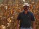 Cullman County’s Ben Haynes recognized for top state honors in National Corn Yield Contest