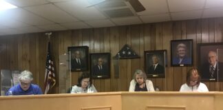 South Vinemont meets with light agenda