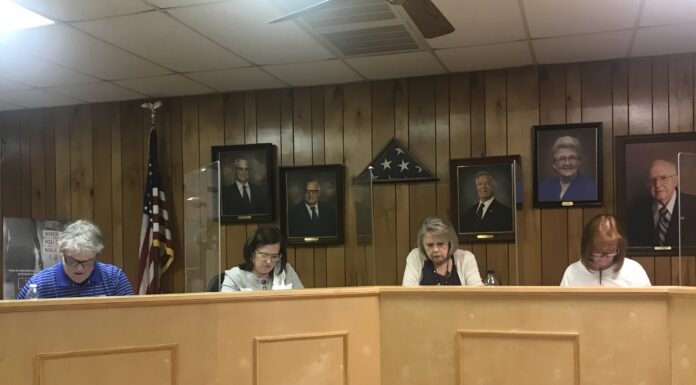 South Vinemont meets with light agenda