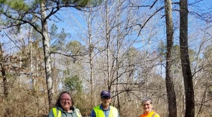 Cullman Community Lions Club cleans up Convent Road