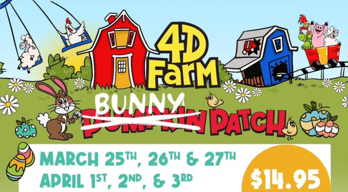 Spring break: local events