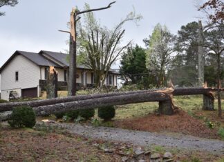 NWS: At least 1 EF-1 tornado in Cullman County Wednesday