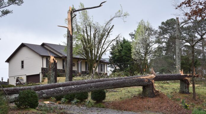 NWS: At least 1 EF-1 tornado in Cullman County Wednesday