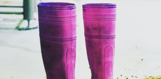 Goat Island Brewing to host female brewers on International Women’s Day